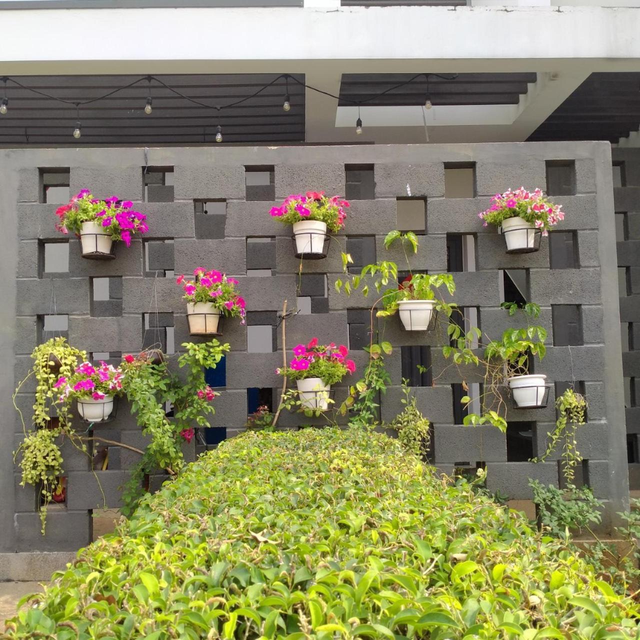 Villa Bien - Resort Oceanami - Long Hai - 3 & 4 Phong Ngu Dış mekan fotoğraf
